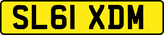 SL61XDM