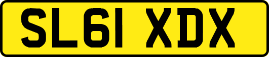 SL61XDX