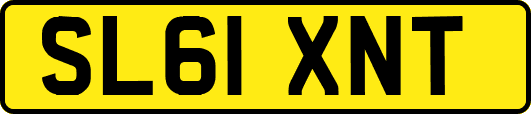 SL61XNT