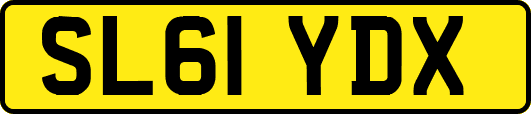 SL61YDX