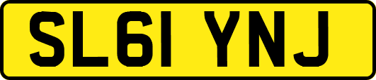 SL61YNJ