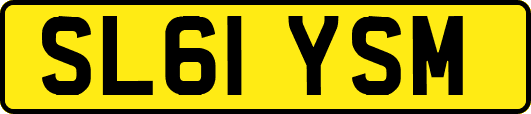 SL61YSM