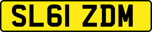 SL61ZDM