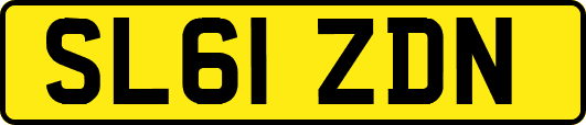 SL61ZDN