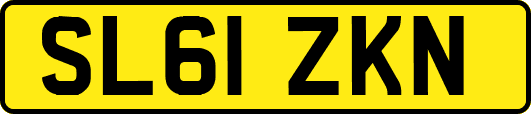 SL61ZKN