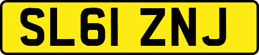 SL61ZNJ
