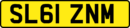 SL61ZNM