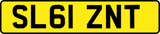 SL61ZNT