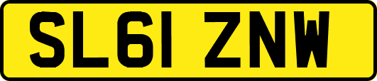 SL61ZNW