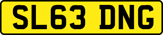 SL63DNG