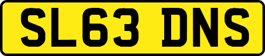 SL63DNS