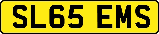 SL65EMS
