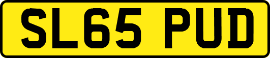 SL65PUD