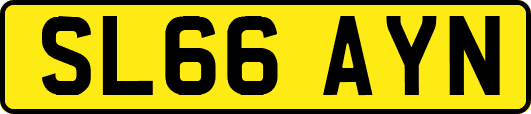 SL66AYN