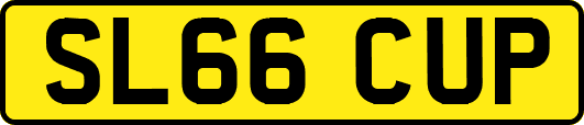 SL66CUP