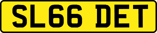 SL66DET