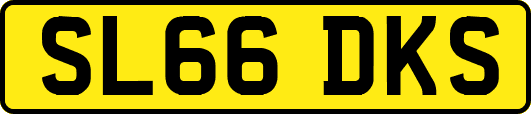 SL66DKS