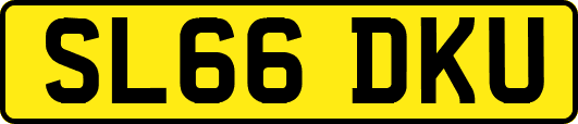 SL66DKU