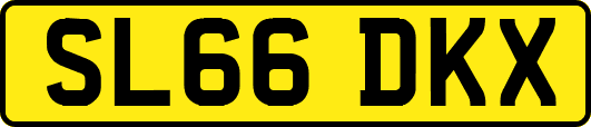 SL66DKX