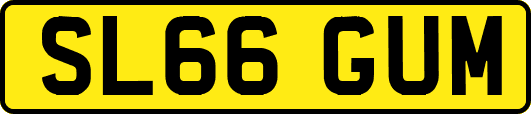 SL66GUM