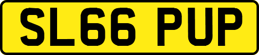 SL66PUP