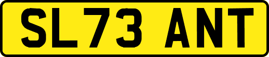SL73ANT