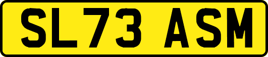 SL73ASM
