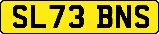 SL73BNS