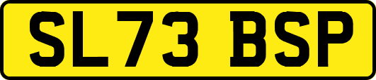 SL73BSP
