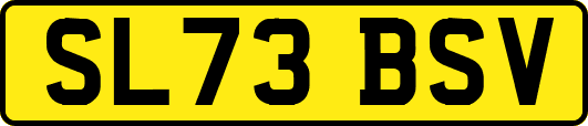 SL73BSV