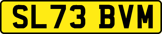 SL73BVM