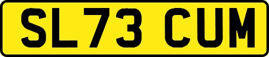 SL73CUM