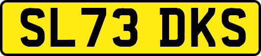 SL73DKS