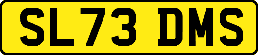 SL73DMS