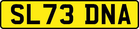 SL73DNA