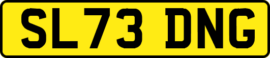 SL73DNG