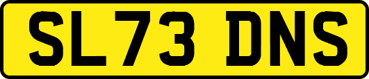 SL73DNS