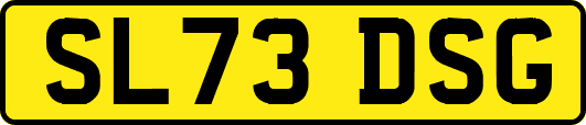 SL73DSG