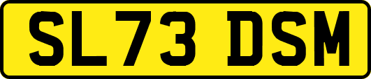 SL73DSM