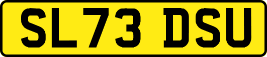 SL73DSU