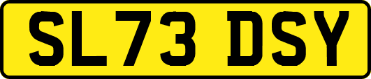 SL73DSY
