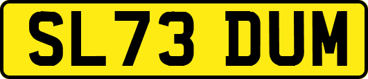 SL73DUM