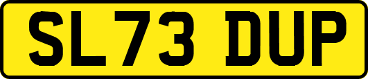 SL73DUP