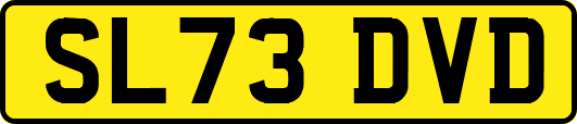 SL73DVD