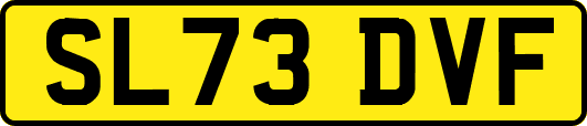 SL73DVF