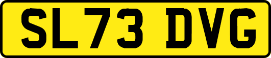 SL73DVG