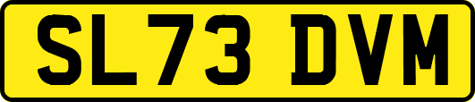 SL73DVM