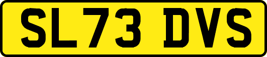 SL73DVS