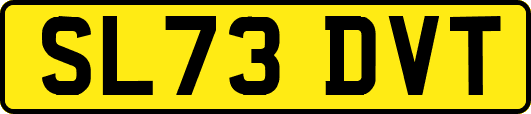 SL73DVT