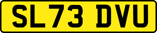 SL73DVU